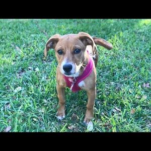 Meet your Posher, Mariah